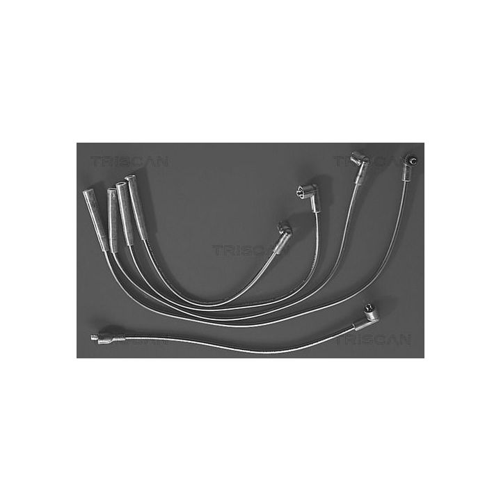 Uždegimo laido komplektas TRISCAN 8860 7135