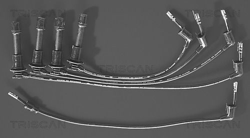 Uždegimo laido komplektas TRISCAN 8860 7145