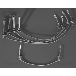 Uždegimo laido komplektas TRISCAN 8860 7150