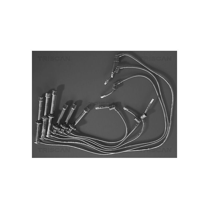 Uždegimo laido komplektas TRISCAN 8860 7151