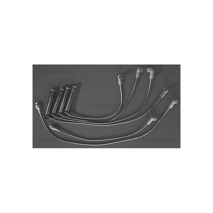 Uždegimo laido komplektas TRISCAN 8860 7214