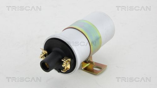 Ritė, uždegimas TRISCAN 8860 10006