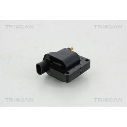 Ritė, uždegimas TRISCAN 8860 10016