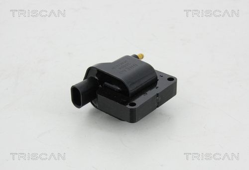 Ritė, uždegimas TRISCAN 8860 10016