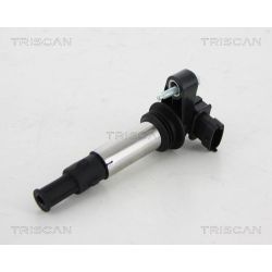 Ritė, uždegimas TRISCAN 8860 10017
