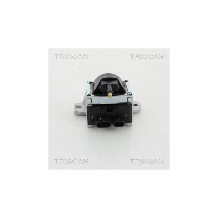 Ritė, uždegimas TRISCAN 8860 10019