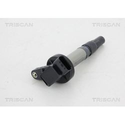 Ritė, uždegimas TRISCAN 8860 10020