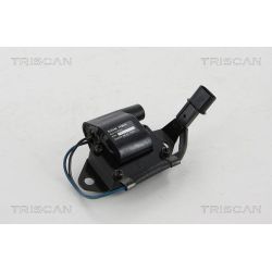 Ritė, uždegimas TRISCAN 8860 10022