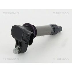 Ritė, uždegimas TRISCAN 8860 10024