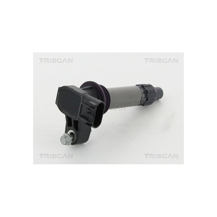 Ritė, uždegimas TRISCAN 8860 10024