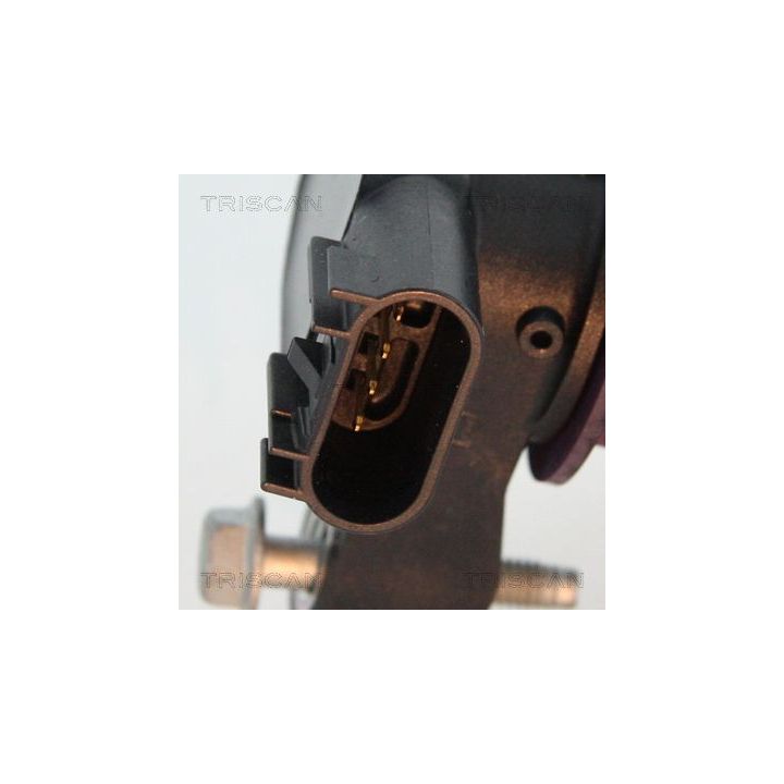 Ritė, uždegimas TRISCAN 8860 10024