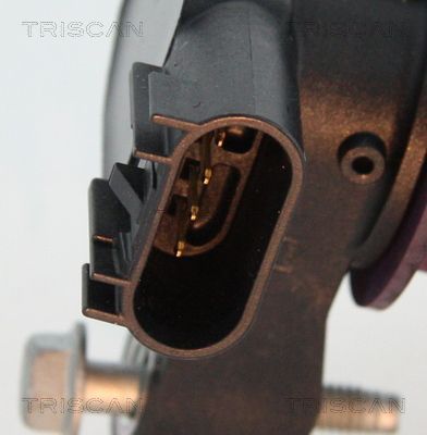 Ritė, uždegimas TRISCAN 8860 10024