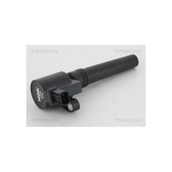 Ritė, uždegimas TRISCAN 8860 10032