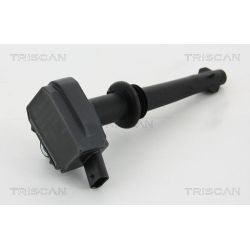 Ritė, uždegimas TRISCAN 8860 10033