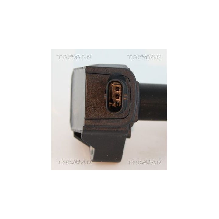 Ritė, uždegimas TRISCAN 8860 10033