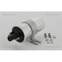 Ritė, uždegimas TRISCAN 8860 10034