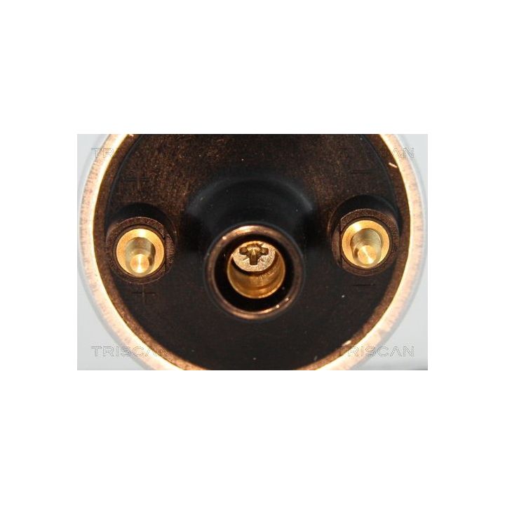 Ritė, uždegimas TRISCAN 8860 10034