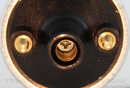 Ritė, uždegimas TRISCAN 8860 10034