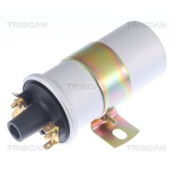 Ritė, uždegimas TRISCAN 8860 10038