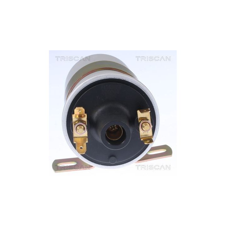 Ritė, uždegimas TRISCAN 8860 10038