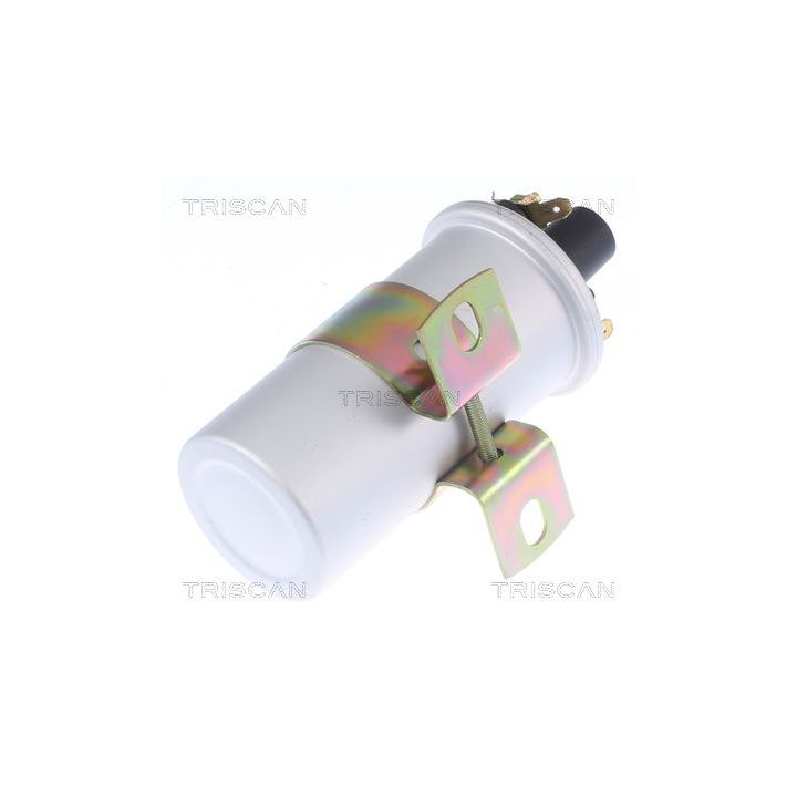 Ritė, uždegimas TRISCAN 8860 10038