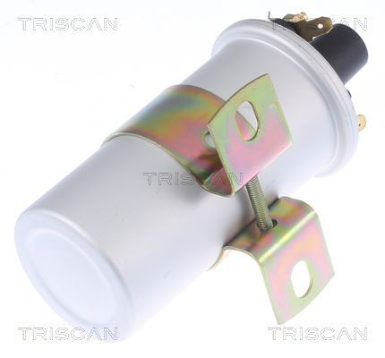 Ritė, uždegimas TRISCAN 8860 10038