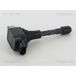 Ritė, uždegimas TRISCAN 8860 10040