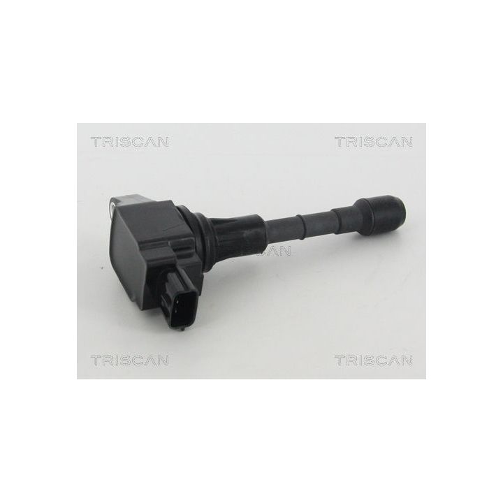 Ritė, uždegimas TRISCAN 8860 10040