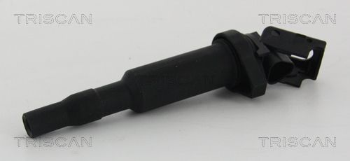 Ritė, uždegimas TRISCAN 8860 11013