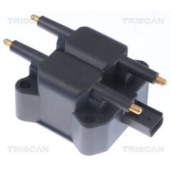 Ritė, uždegimas TRISCAN 8860 11016