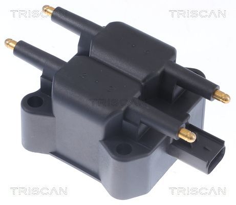 Ritė, uždegimas TRISCAN 8860 11016