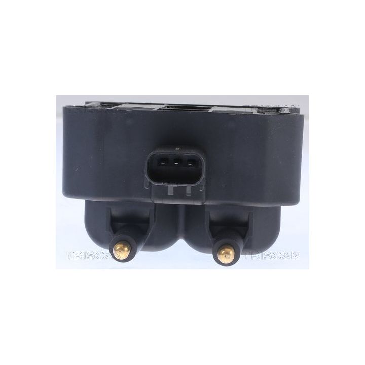 Ritė, uždegimas TRISCAN 8860 11016