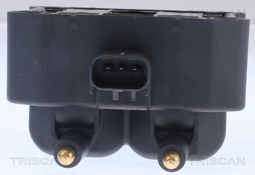 Ritė, uždegimas TRISCAN 8860 11016