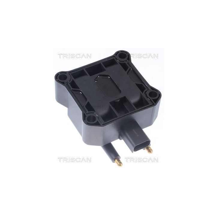 Ritė, uždegimas TRISCAN 8860 11016