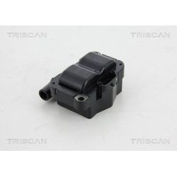 Ritė, uždegimas TRISCAN 8860 11019
