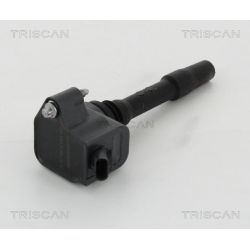 Ritė, uždegimas TRISCAN 8860 11020