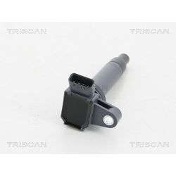 Ritė, uždegimas TRISCAN 8860 13031