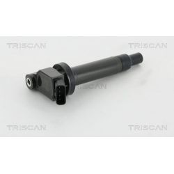 Ritė, uždegimas TRISCAN 8860 13034