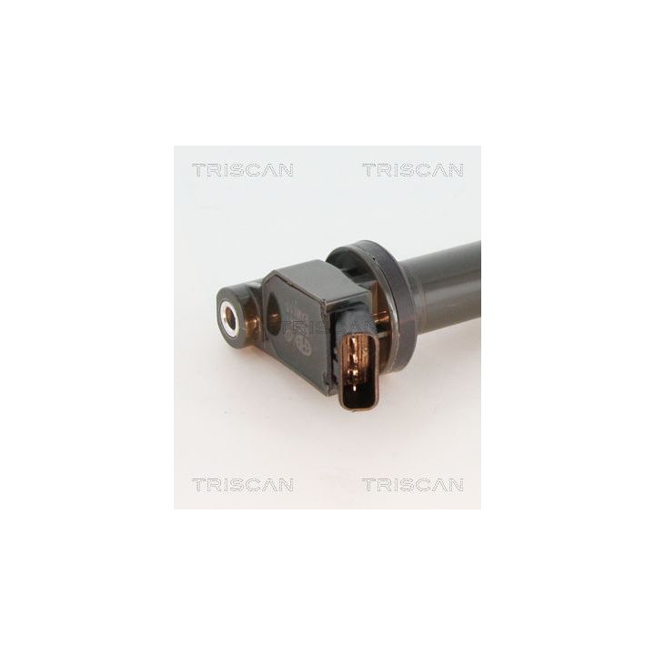 Ritė, uždegimas TRISCAN 8860 13034
