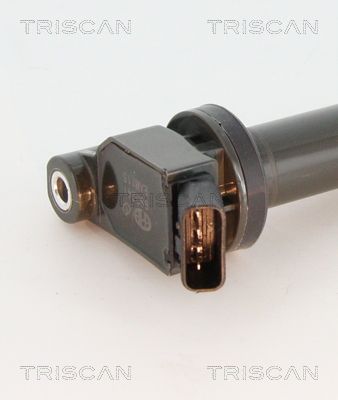 Ritė, uždegimas TRISCAN 8860 13034