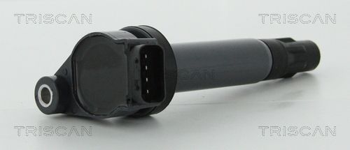 Ritė, uždegimas TRISCAN 8860 13035