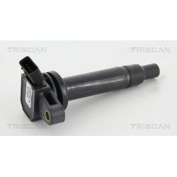 Ritė, uždegimas TRISCAN 8860 13036