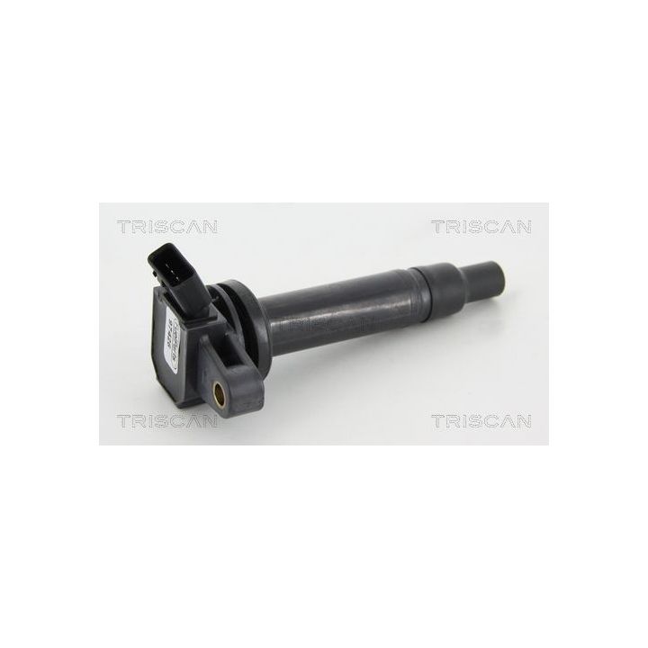 Ritė, uždegimas TRISCAN 8860 13036
