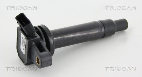Ritė, uždegimas TRISCAN 8860 13036