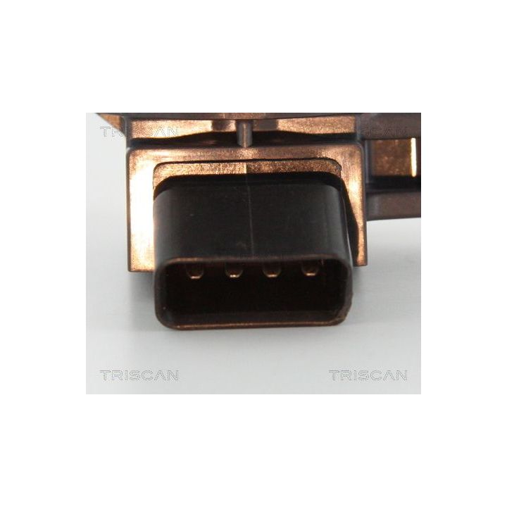 Ritė, uždegimas TRISCAN 8860 13036