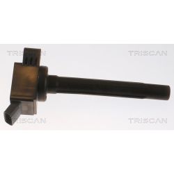 Ritė, uždegimas TRISCAN 8860 13039