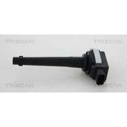 Ritė, uždegimas TRISCAN 8860 14012