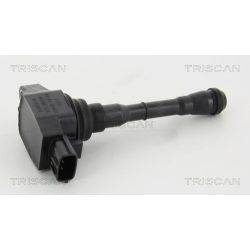 Ritė, uždegimas TRISCAN 8860 14017