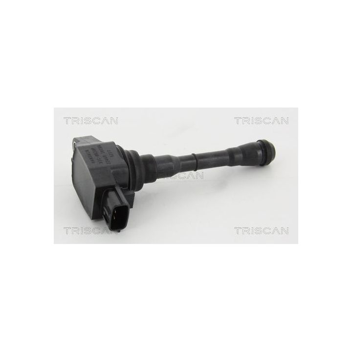 Ritė, uždegimas TRISCAN 8860 14017