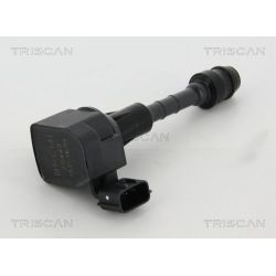 Ritė, uždegimas TRISCAN 8860 14018